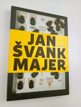 Název varianty