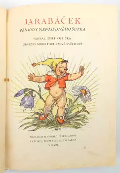 Název obrázku