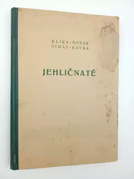 Název varianty