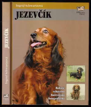 Název varianty