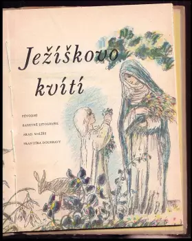 Název obrázku