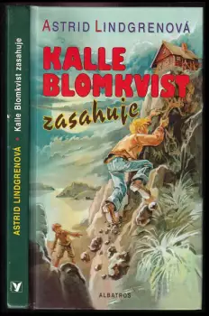 Název varianty