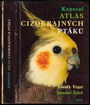 Název obrázku