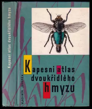 Název obrázku