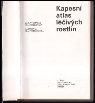 Název obrázku