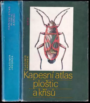 Název varianty