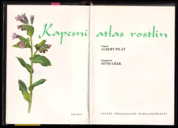 Název obrázku