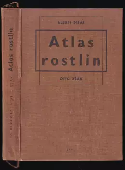 Název varianty