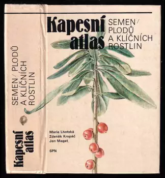 Název varianty