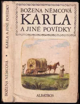 Název varianty