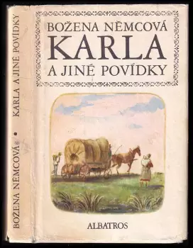 Název varianty