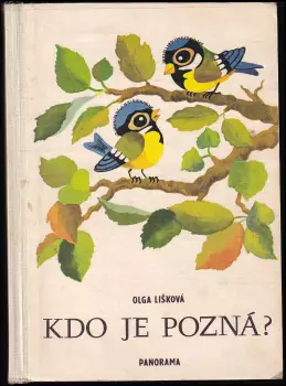 Název varianty