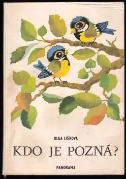 Název varianty