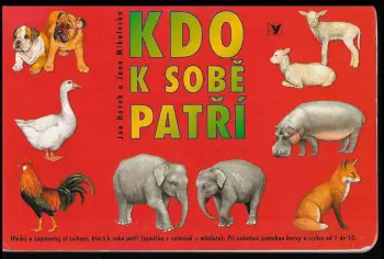 Název varianty