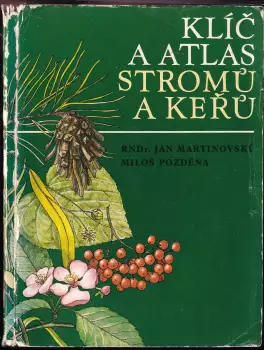 Název obrázku