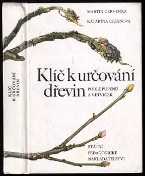 Název obrázku
