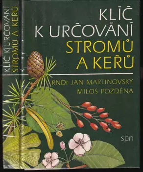Název obrázku