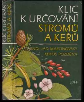 Název obrázku