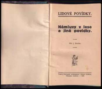 Název obrázku