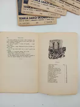 Název obrázku