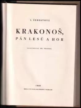 Název obrázku