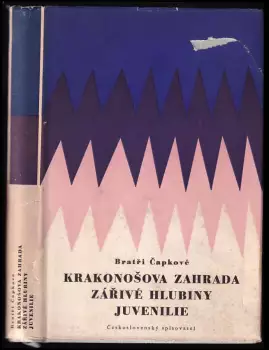 Název varianty