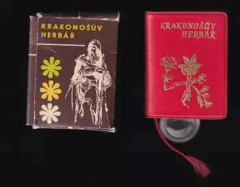 Název varianty