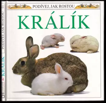 Název varianty