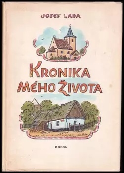 Název obrázku
