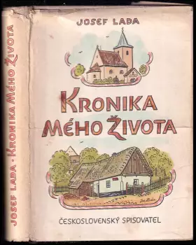 Název obrázku