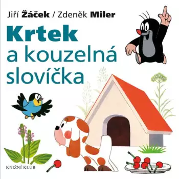Název varianty