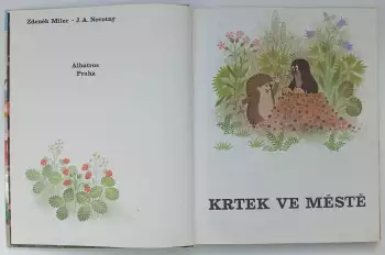 Název obrázku