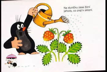 Název obrázku