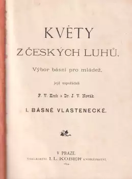 Název obrázku