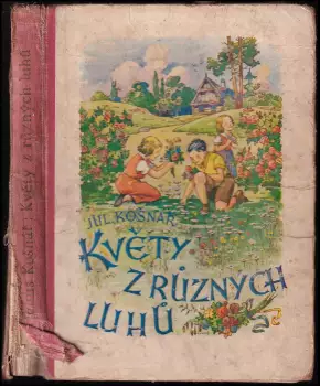 Název obrázku