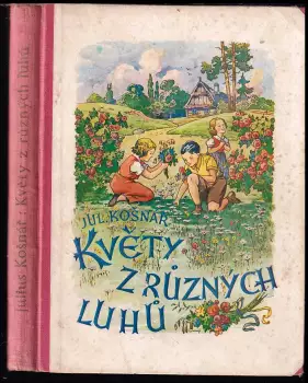 Název obrázku