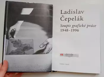 Název obrázku