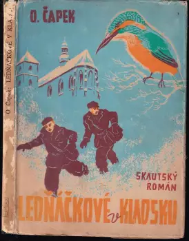 Název varianty
