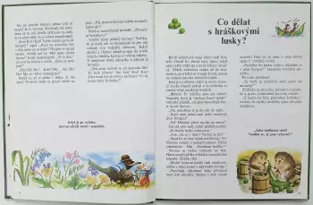 Název obrázku