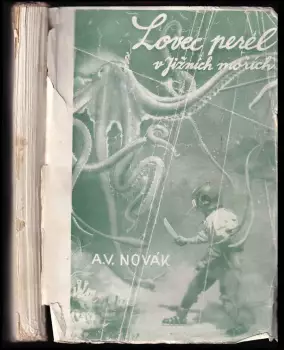 Název obrázku