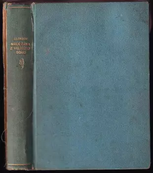Název varianty