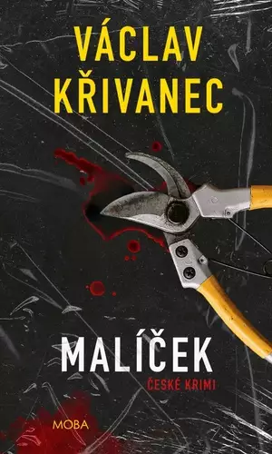 Název varianty
