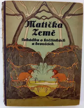 Název varianty