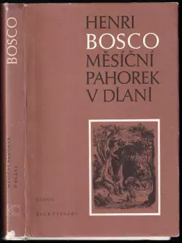 Název obrázku
