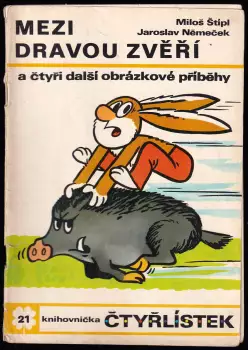 Název obrázku