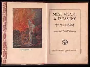 Název obrázku