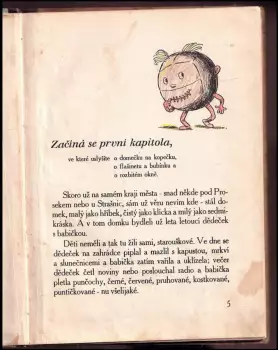 Název obrázku