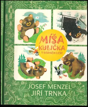 Název varianty