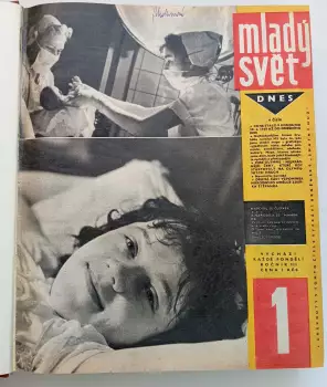 Název obrázku
