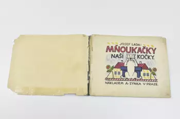 Název obrázku